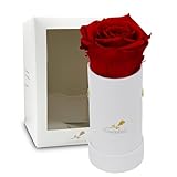 Rosenlieb Rosenbox Weiß mit Infinity Rosen (bis 3 Jahre haltbar) | Echte konservierte Rosen | Flowerbox inkl. Grußkarte Frau Freundin Geburtstag Muttertag (Rot)
