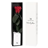 Infinity Rose rot am Stiel (3 Jahre haltbar) in Geschenkbox I Valentinstag Deko Geschenk I Eine konservierte Blume mit Rosenduft I Inkl. Geschenkkarte
